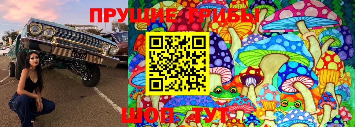 Кизилюрт  Псилоцибиновые грибы Psilocybine cubensis  Вход с VPN 