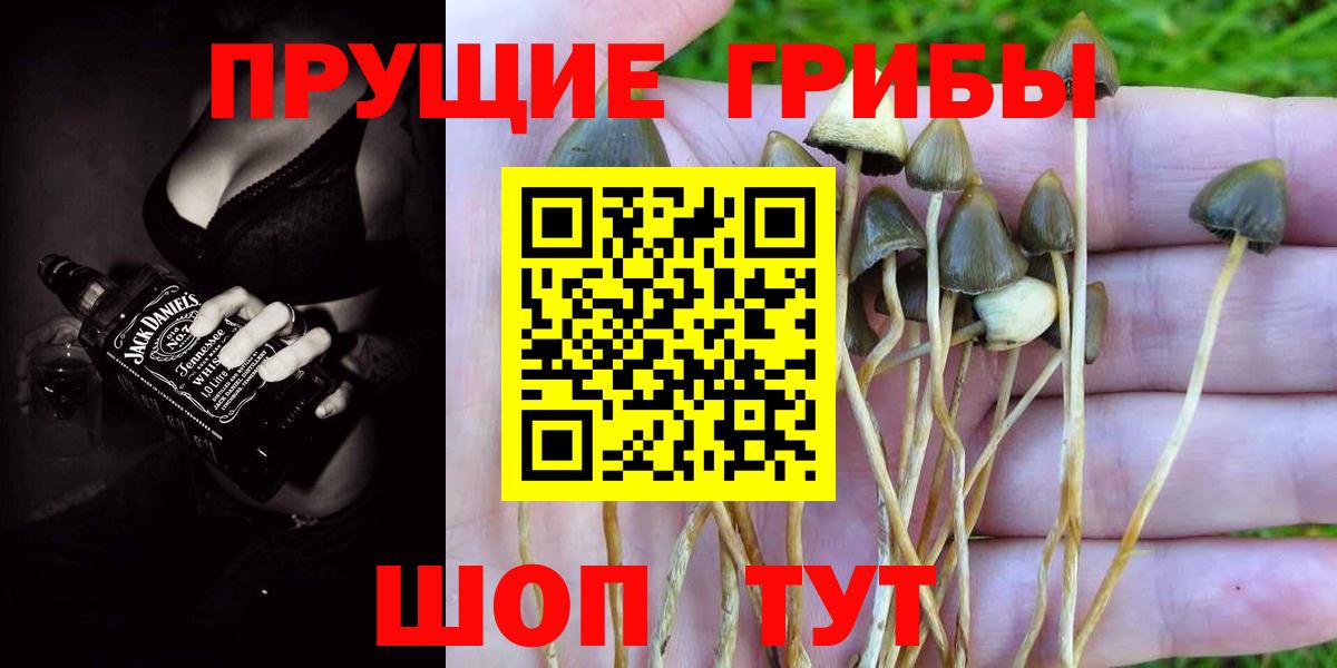 Галлюциногенные грибы MAGIC MUSHROOMS Кизилюрт